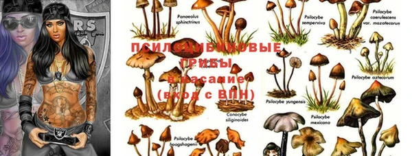 apvp Абаза